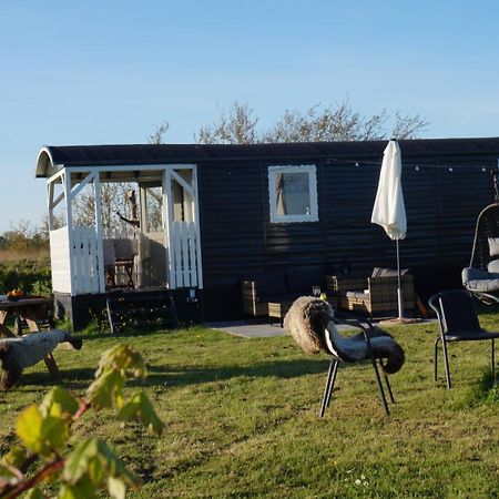 Bed And Breakfast Het Schapenlandje Waarland Eksteriør billede
