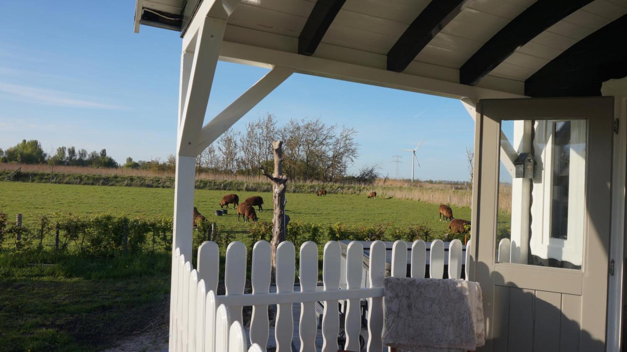 Bed And Breakfast Het Schapenlandje Waarland Eksteriør billede