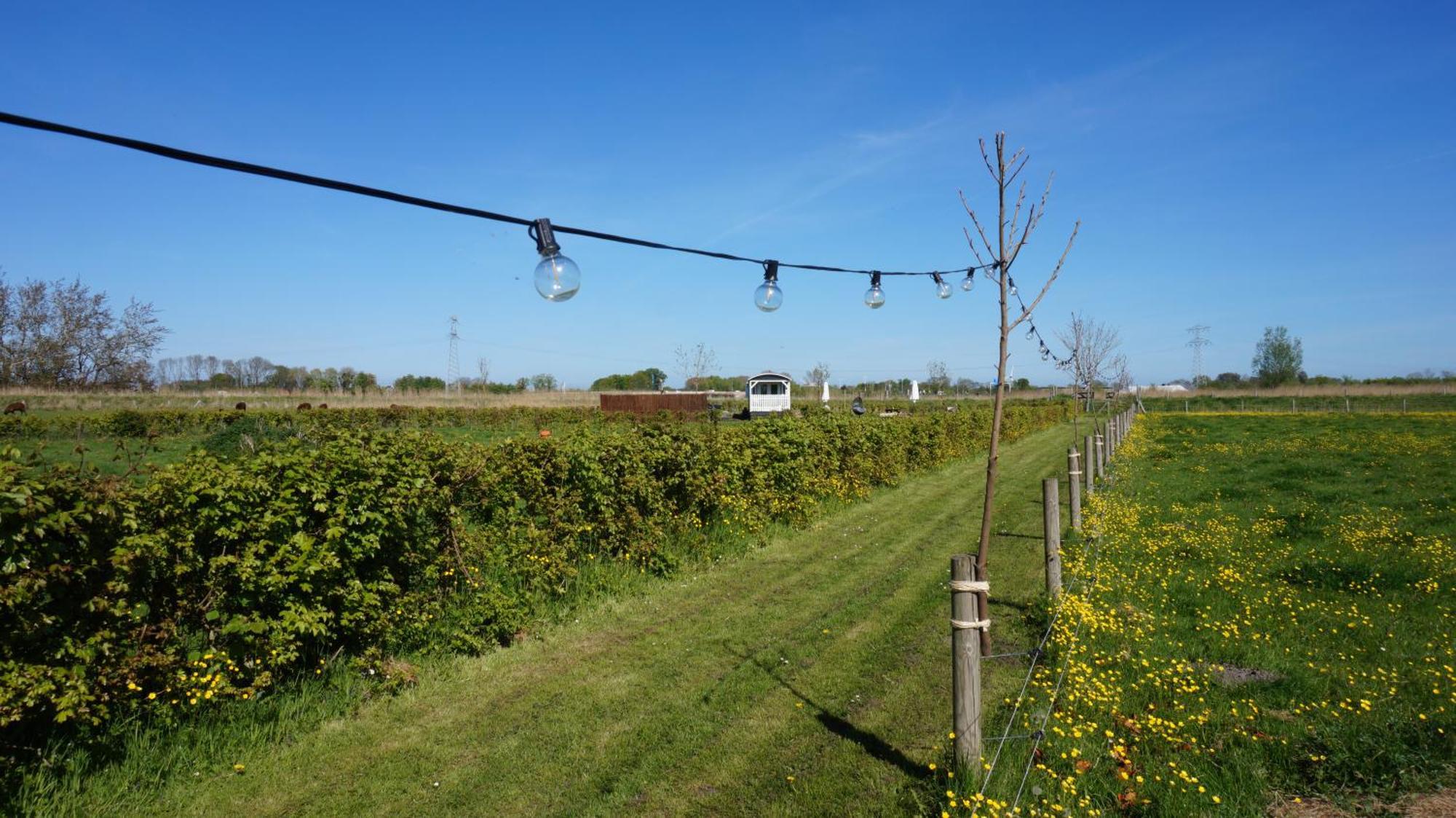 Bed And Breakfast Het Schapenlandje Waarland Eksteriør billede