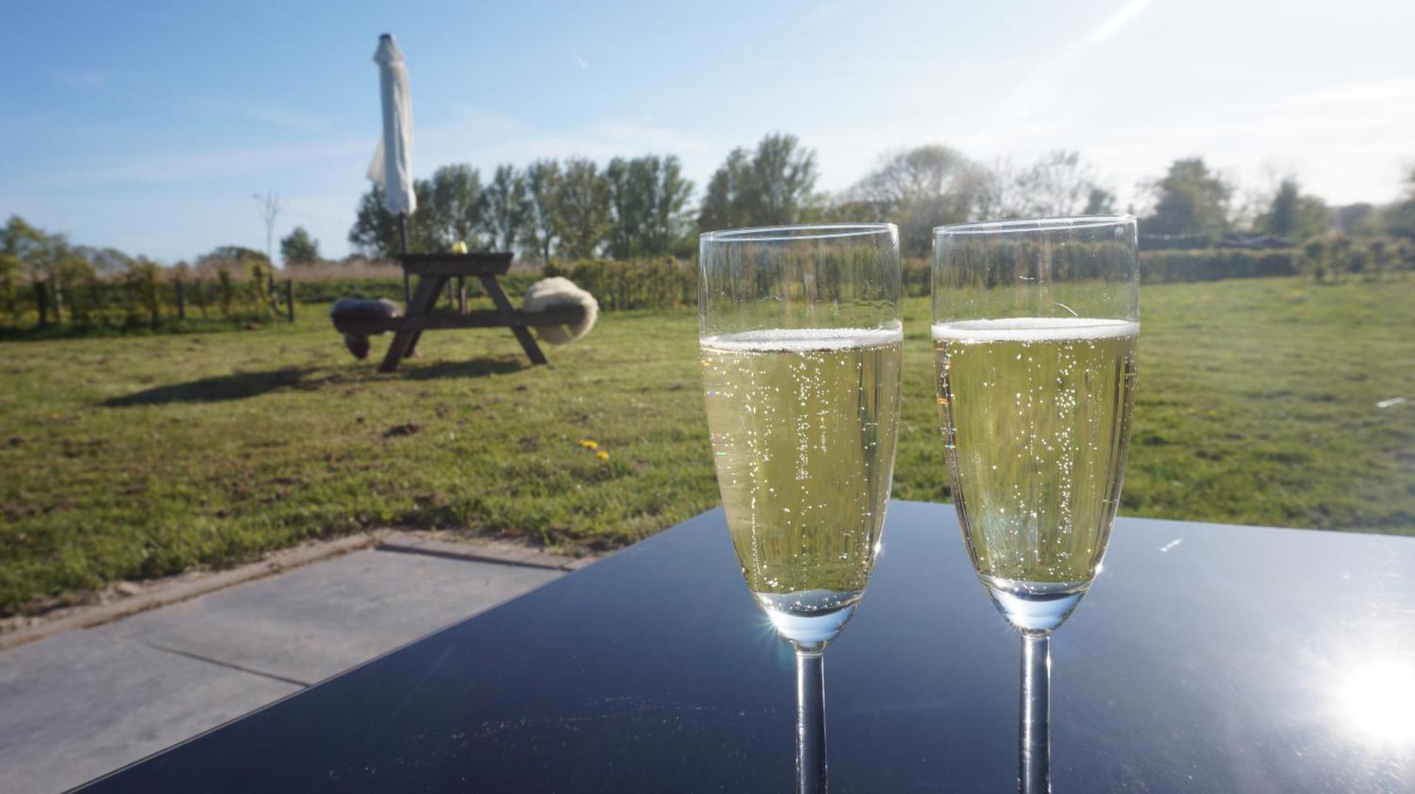 Bed And Breakfast Het Schapenlandje Waarland Eksteriør billede