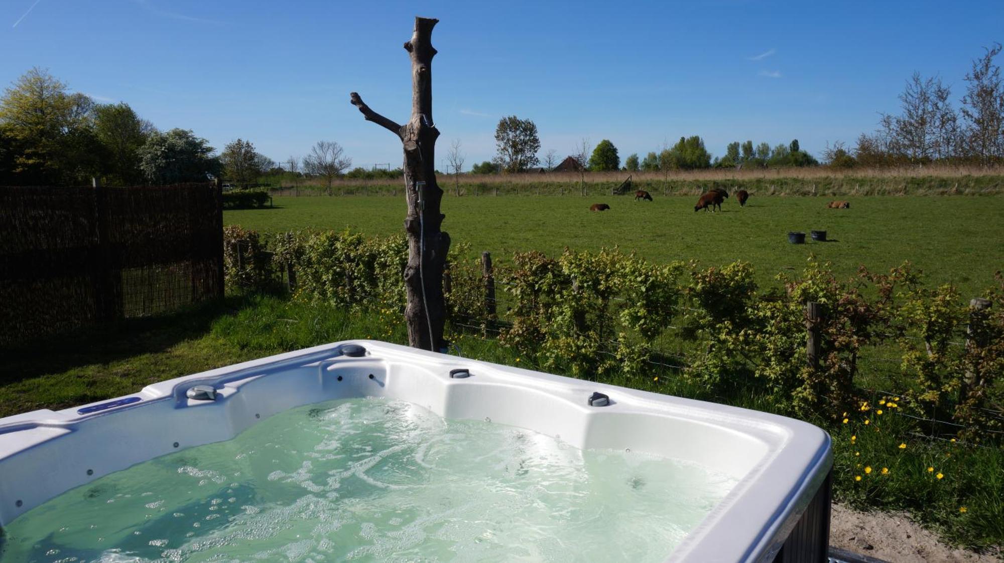 Bed And Breakfast Het Schapenlandje Waarland Eksteriør billede